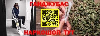 хмурый Тара
