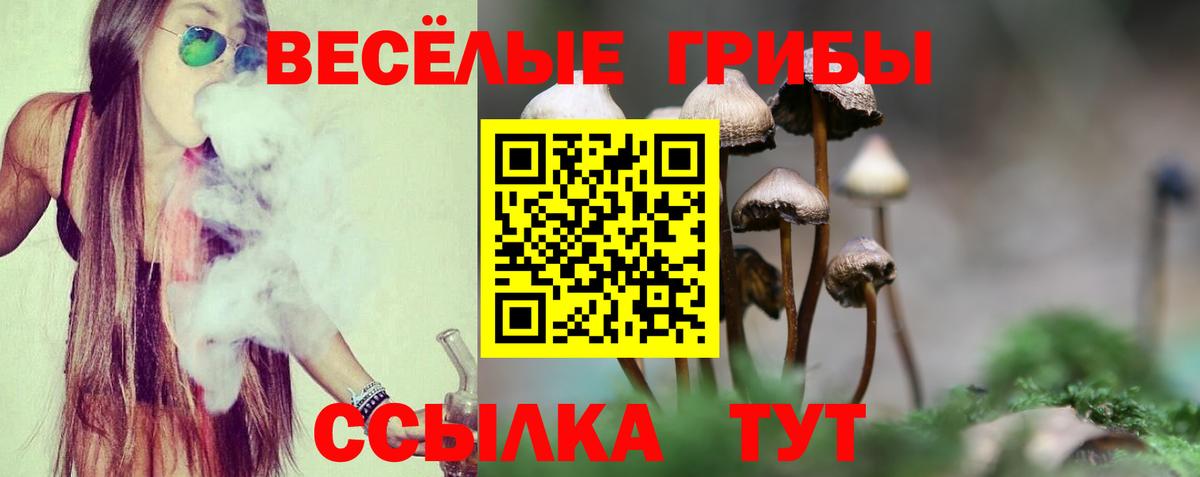 Галлюциногенные грибы GOLDEN TEACHER  Галлюциногенные грибы Psilocybine cubensis  где продают наркотики  Вход с VPN  Новошахтинск 